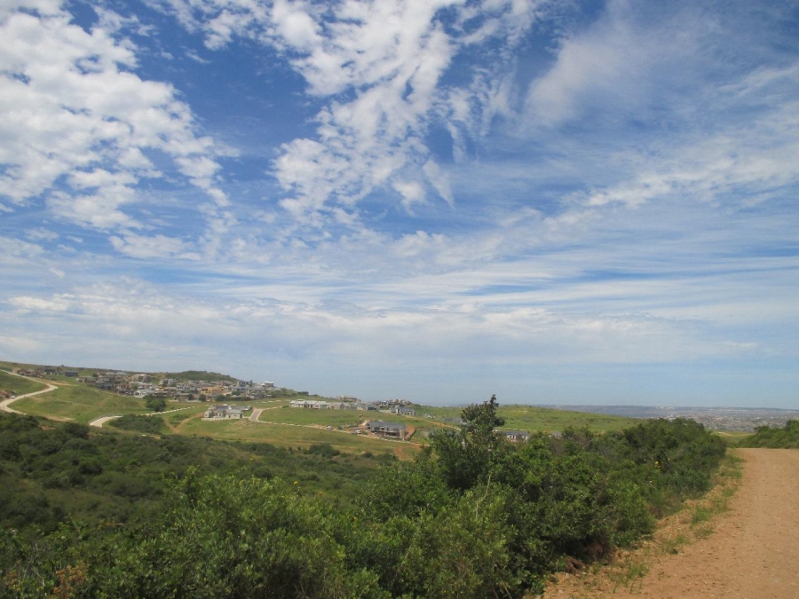 0 Bedroom Property for Sale in Outeniquasbosch Western Cape
